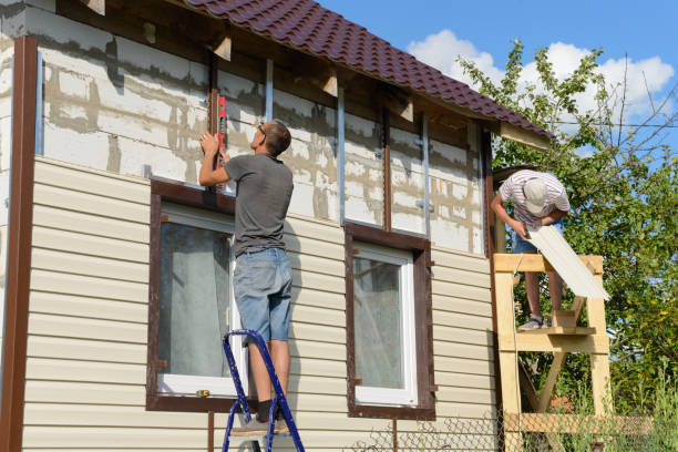 Best Shed Removal  in Dickson City, PA